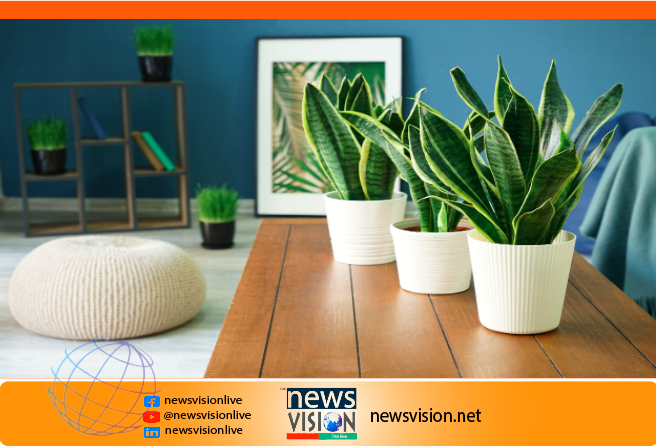 মার্কিন মহাকাশ গবেষণা সংস্থা নাসার একটি গবেষণায় দেখা গেছে যে গাছগুলি আবদ্ধ স্থানে বাতাসকে বিশুদ্ধ করে